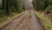 Trail Walking Malmedy - burnenville  - Photo 1