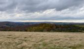 Tour Wandern Simmerath - Einruhr 25 km - Photo 3