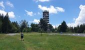 Tour Wandern Schönenberg - Tour du Champ du Feu - Photo 12