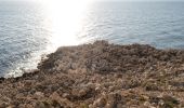 Trail Walking Saint-Jean-Cap-Ferrat - Cap Ferrat - Photo 3