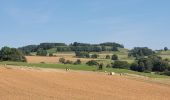 Tour Wandern Williers - rando chameleux 22-08-2024 - Photo 14