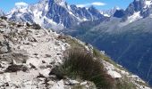 Randonnée Marche Chamonix-Mont-Blanc - brevent aiguilkettes - Photo 1