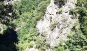 Excursión Senderismo Thuès-Entre-Valls - gorge de la Carança  - Photo 4