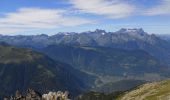 Excursión A pie Bovernier - Chemins pédestre de montagne, région Entremont - Photo 5