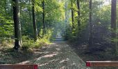 Trail Walking Oud-Heverlee - Meedael Bos st Jorisweet weg parking 16 km - Photo 13
