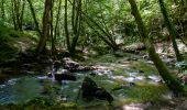 Randonnée Marche Albussac - cascades de murel - Photo 1