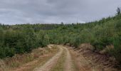 Excursión Senderismo Herbeumont - Straimont 200922 - Photo 11