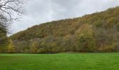 Tour Wandern Durbuy - Oei - Photo 8