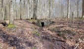 Tour Wandern Villers-Cotterêts - Abbaye, fontaine en forêt  - Photo 4