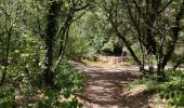 Tour Wandern Grospierres - ARDECHE / GROPIERRES La résurgence de la font vive - Photo 4