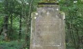 Tour Zu Fuß Unbekannt - Mattheiser Wald Rundweg II - Photo 8