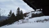 Randonnée Raquettes à neige Sewen - SewenWissgrutFennmatt - Photo 1
