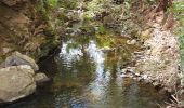 Trail Walking La Motte - a motte/Le muy  - Photo 6