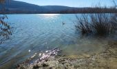 Tocht Stappen Amay - Le Lac de la Gravière   - Photo 8