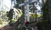 Trail Walking Chabreloche - Tracé actuel: 18 AVR 2019 08:39 - Photo 8