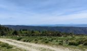 Excursión Senderismo Montselgues - plateau m'ont selgue - Photo 9