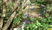 Trail Walking Ceyrat - GORGES DE CEYRAT EN BOUCLE PAR BERZET - Photo 4