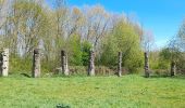 Percorso Bici ibrida Ferrières-en-Brie - Etangs de Tafarrette - Forêt de Ferrieres  - Photo 2