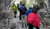 Excursión Senderismo Cheval-Blanc - PF-Cheval-Blanc - La Roquette - Le Trou du Rat - MDu - Photo 5