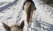 Trail Horseback riding Saint-Martin - neige kaline vispa  - Photo 5