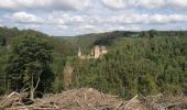 Tocht Stappen Malmedy - Un air de crête  - Photo 12