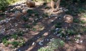 Tour Wandern Bédoin - Sur les traces du reboisement du Ventoux 1860 - Photo 11