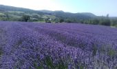 Tocht Wegfiets Mirabel-et-Blacons - col du pas de Lauzens - Photo 1