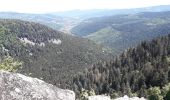 Tour Wandern Woll - le sentier des roches ... le Hohneck depuis la route des crêtes  - Photo 11