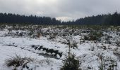Randonnée Marche Houffalize - les colas - Photo 1