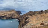 Tour Wandern Caniçal - PR8 Madère Madeira - Photo 11