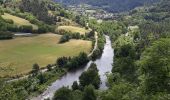 Trail Walking Goudet - Au fil de la Loire sauvage  - Photo 11