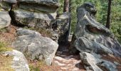 Tocht Stappen Fontainebleau - Fontainebleau sentier Denecourt 7-8 8-8 - Photo 1