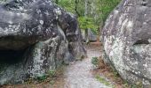 Trail Walking Fontainebleau - Fontainebleau - Sentier des carriers - Photo 3