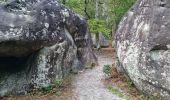 Excursión Senderismo Fontainebleau - Fontainebleau - Sentier des carriers - Photo 3