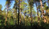 Trail Walking Choisy-au-Bac - en forêt de Laigue_5_09_2019_Mont Moyen_Queue du Bois_Plates Noues - Photo 16