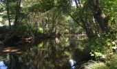 Tocht Te voet Várzea, Aliviada e Folhada - PR6 - Aldeias e Margens do rio Ovelha - Photo 4