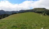 Trail On foot Mont-Dore - Le Capucin et le Puy de Cliergue - Photo 7