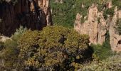 Tocht Stappen Bagnols-en-Forêt - Gorges du Blavet 83 - Photo 3