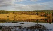 Tour Wandern Weismes - Peak Barrel new - Photo 2