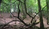 Trail Walking Bouilly - Rando Thierry forêt Bouilly le 19.07.19 - Photo 4