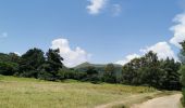 Trail Walking Orcines - puys pariou, ciersou, grand suchet  - Photo 1