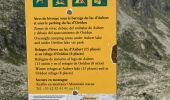 Excursión Senderismo Saint-Lary-Soulan - malamete-lac-nere-hourquette-d'aubert-depuis-oredon - Photo 12