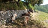 Excursión Senderismo Termes - Termes ( Aude )  + les gorges de Terminet +le Nitable roc - Photo 13