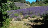 Tour Wandern Le Poët-Sigillat - poët Sigillat-col de Soubeyrand-Tarendol - Photo 12