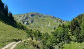 Trail Walking Châtel - Les Mattes - Photo 1