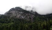 Excursión A pie Gemeinde Kirchdorf in Tirol - Wanderweg 20 - Feldberg/Scheibenbichlalm/Kaisertal - Photo 7