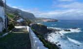 Tocht Stappen San Juan de la Rambla - Camino Ribera del Mar - San Juan de la Rambla (Ténérife) - Photo 10