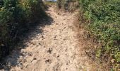 Tocht Noords wandelen Fort-Mahon-Plage - fort mahon 2 Isabelle  - Photo 18