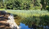 Excursión Senderismo Fleurus - forêt des loisirs Fleurus - Photo 10