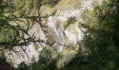 Excursión Senderismo Réallon - les gourniers le lac du Laus  - Photo 1